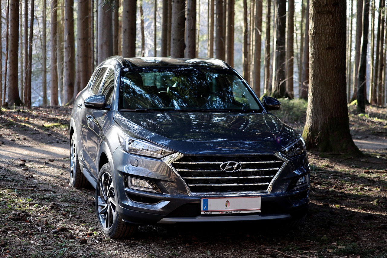 automobile, hyundai, dynamic, windshield, suv, suv vehicle, vehicle, forest, trees, the shade, 4wd, nature, all wheel drive, hyundai tucson, offroad
