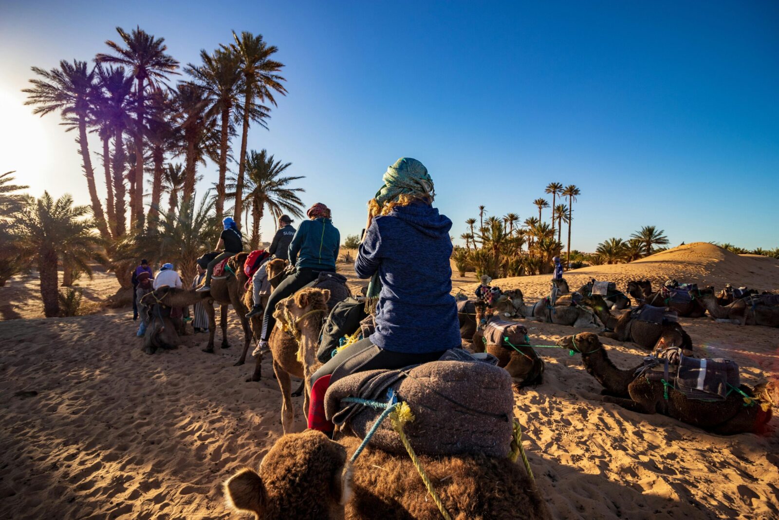 Group of people riding camels through a desert oasis with palm trees under a blue sky, ideal for travel and adventure themes.